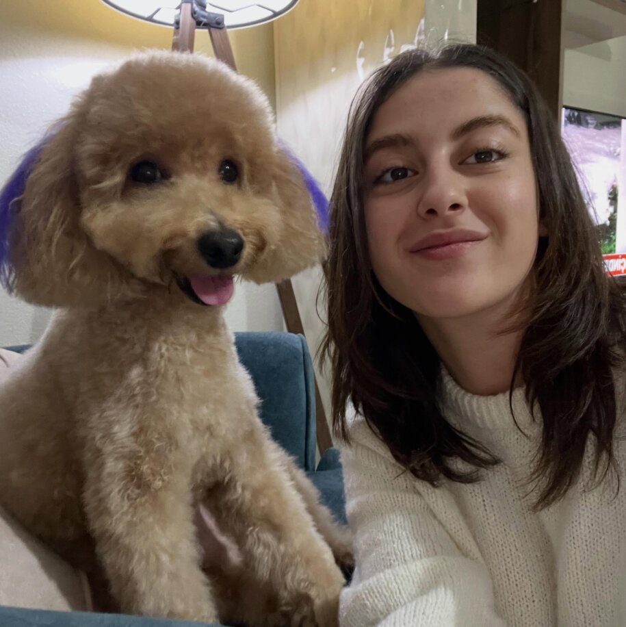 Sapanca'da köpek gezintisi